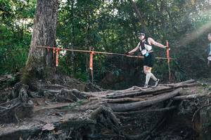 BIB: 
                            <button type="button" onclick="openModal(27307515)" class="btn btn-primary btn-sm float-right btn-popup" data-toggle="modal" data-target=".modal-high-quality">
                        <i class="fas fa-shopping-cart"></i> Add to Cart
                    </button>
                                            <button type="button" onclick="isThisMe(27307515, true)" class="btn btn-success btn-sm float-right btn-popup btn-isme hidden" data-toggle="tooltip" data-placement="bottom" title="นี่คือรูปของคุณใช่ไหม คลิกที่นี่เพื่อเอาเข้าอัลบั้ม">
                        <i class="fas fa-plus"></i> Add to album
                    </button>
                    <button type="button" onclick="isThisMe(27307515, false)" class="btn btn-warning btn-sm float-right btn-popup btn-isnotme hidden">
                        <i class="fas fa-ban"></i> Remove from album
                    </button>